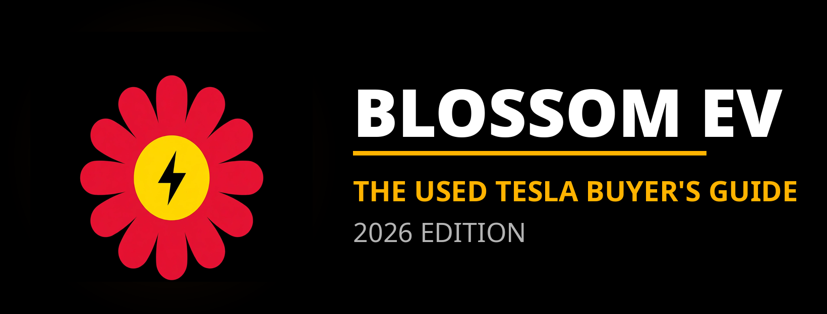 Blossom EV — used Tesla buying help